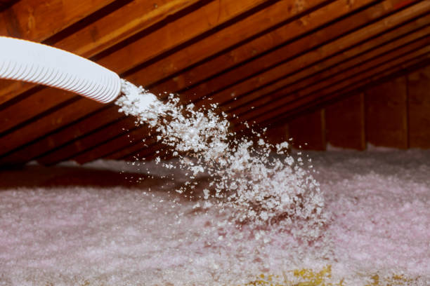 Best Local Insulation Services  in Voorheesville, NY