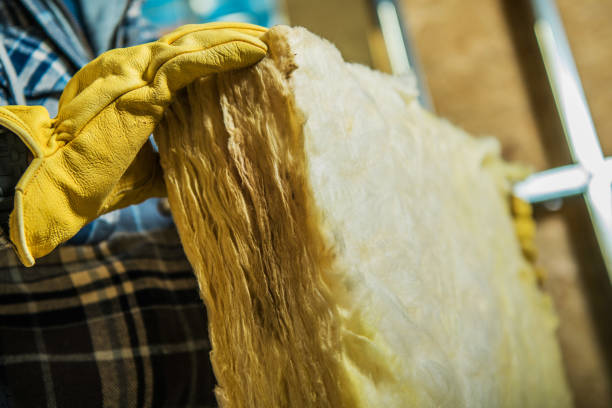 Best Insulation Removal  in Voorheesville, NY