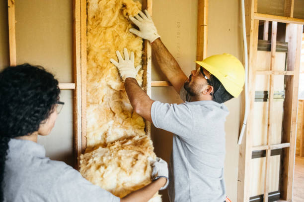 Best Insulation Contractor Near Me  in Voorheesville, NY