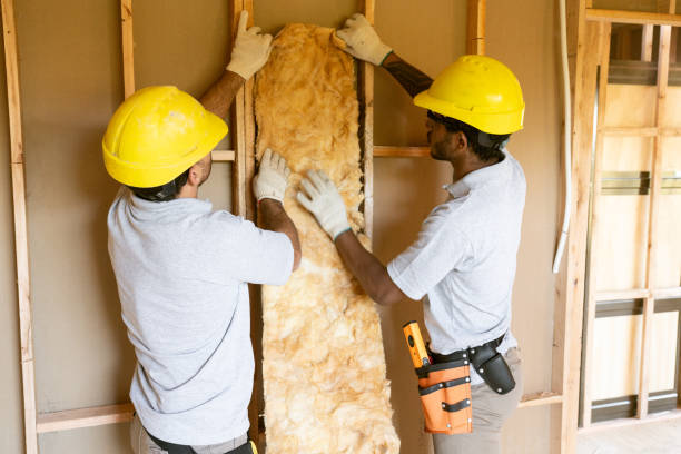 Best Professional Insulation Contractor  in Voorheesville, NY