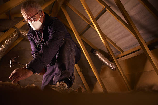 Best Crawl Space Insulation  in Voorheesville, NY