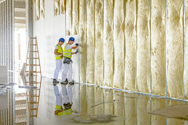 Best Home Insulation Services  in Voorheesville, NY